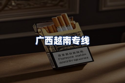 广西越南专线